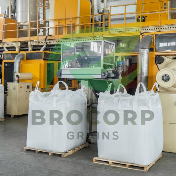 Diseño sin título-5